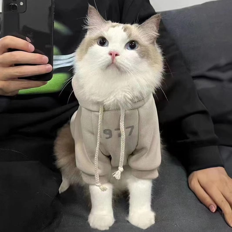 Cat Clothes Anti-Lint Warm Cute Puppet Cat Blue Cat Short Kitten Pet Hooded Fleece-Lined Sweatshirt Winter Clothes - Image 2